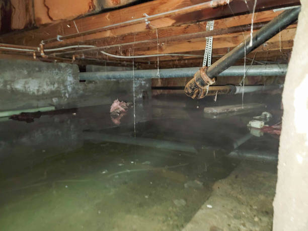 Water damage restoration insurance claims in WV