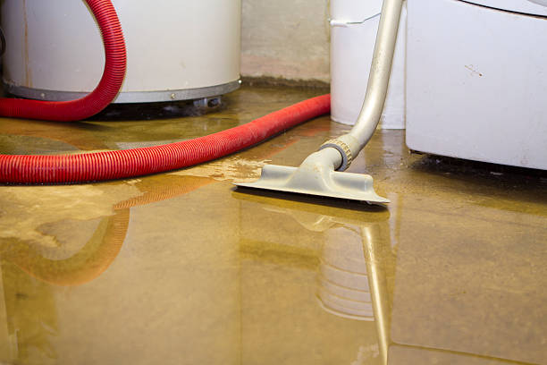  Lavalette, WV Water damage restoration Pros