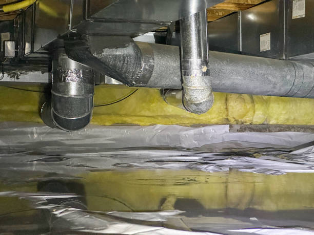 Best Basement water damage restoration  in Lavalette, WV