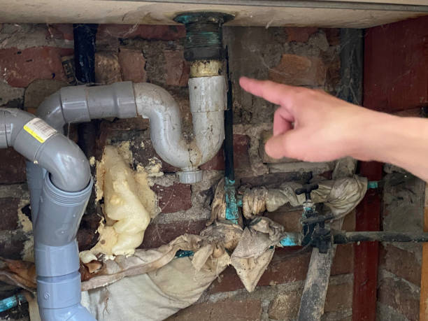 Best Residential water damage restoration  in Lavalette, WV