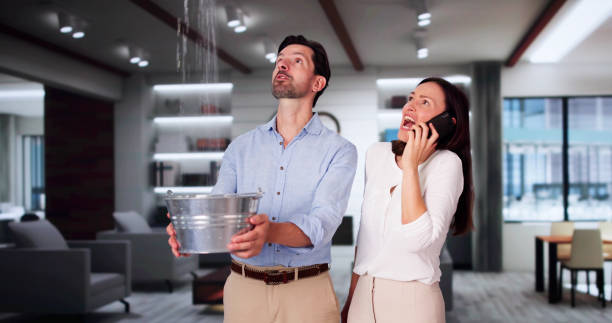 Best 24/7 water damage repair  in Lavalette, WV