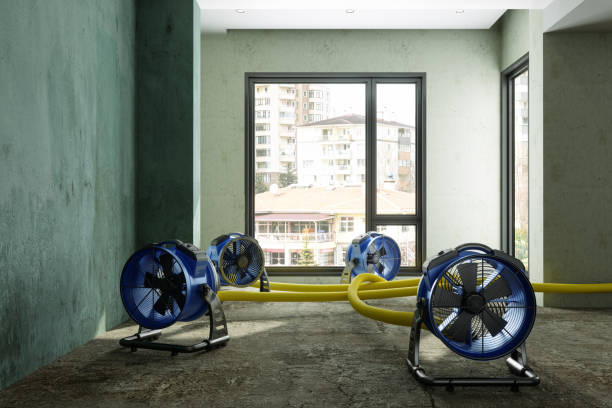 Best Water damage restoration near me  in Lavalette, WV