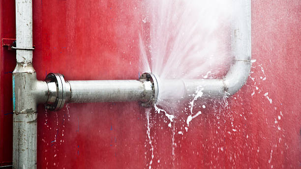 Best Water damage mitigation services  in Lavalette, WV